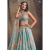 Buy Online Sky Blue Organza Embellished Lehenga Set