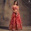 Buy Online Crimson Red Organza Embellished Lehenga Set