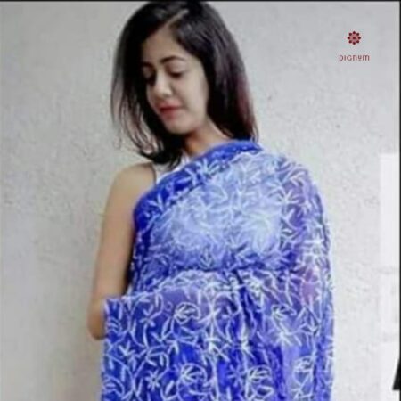 Latest Design Dark Blue Hand Embroidered Chikankari Saree