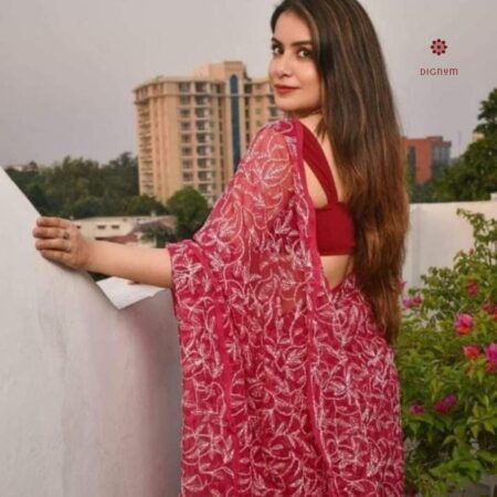 Latest Design Carmine Red Hand Embroidered Chikankari Saree