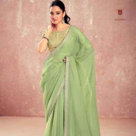 Latest Design Pear Green Chiffon Aari Hand Work Saree