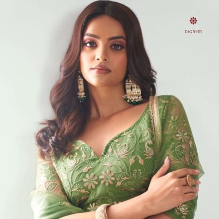 Latest Design Green Soft Net Embroidered Lehenga Choli